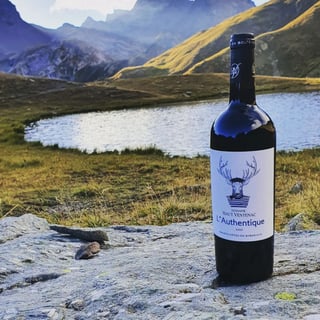 Domaine Haut Ventenac_17