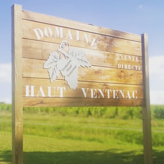 Domaine Haut Ventenac_3