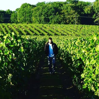 Domaine Haut Ventenac_4