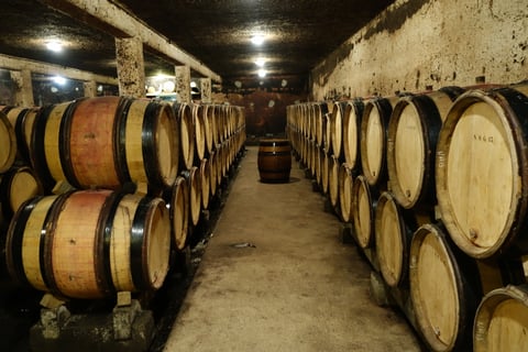 Domaine Jafflin_7