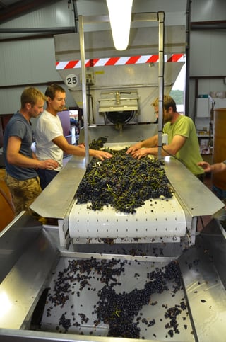 Domaine Joannet_10