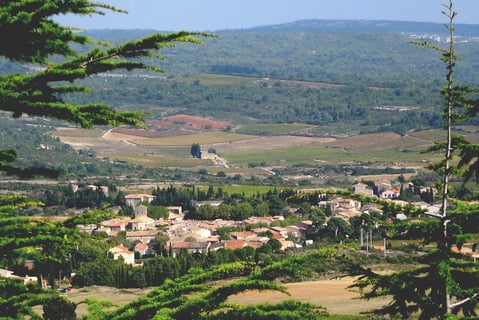 Domaine La Rune_2
