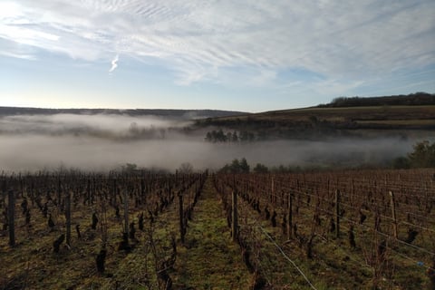 Domaine Les Cocottes_1