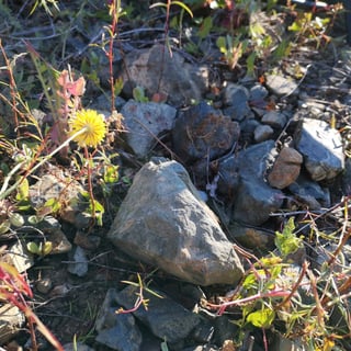 Domaine Les Roches Bleues_51