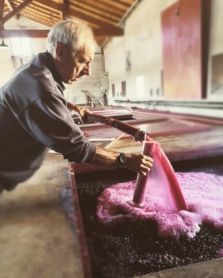 Domaine Les Roches Bleues_78