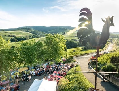 Domaine Les Roches Bleues_9