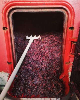 Domaine Les Roches Bleues_9