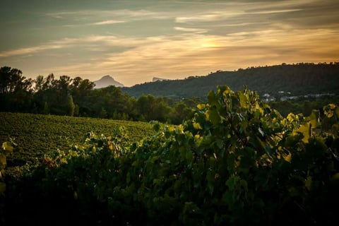 Domaine Les Tuileries_5