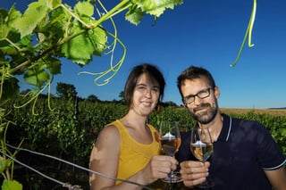 Domaine Miolanne (1)