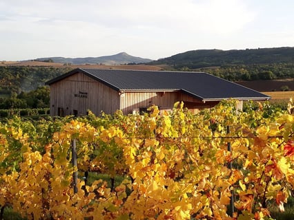 Domaine Miolanne (5)