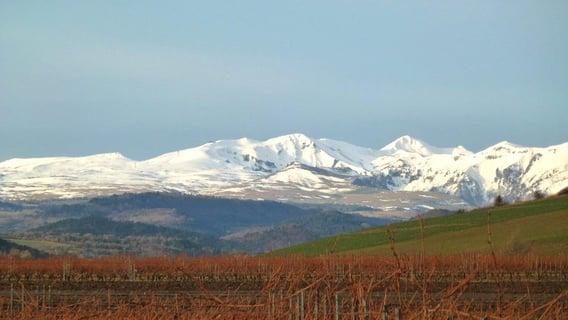 Domaine Miolanne (6)