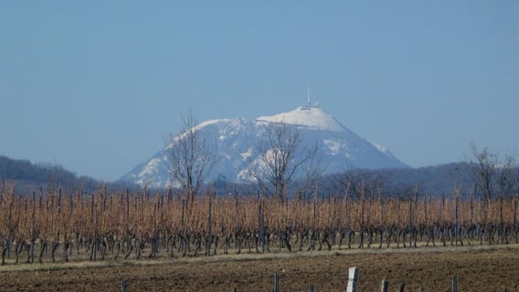 Domaine Miolanne (7)