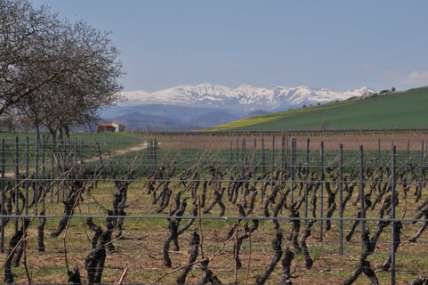 Domaine Miolanne (9)