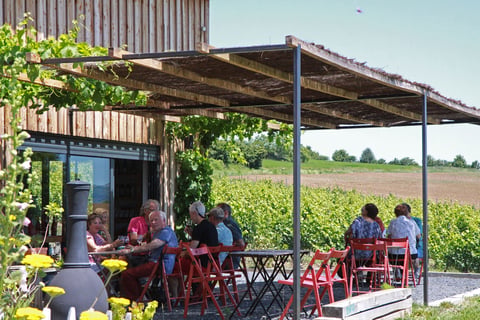 Domaine Miolanne_3