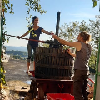 Domaine Nigoulin (5)