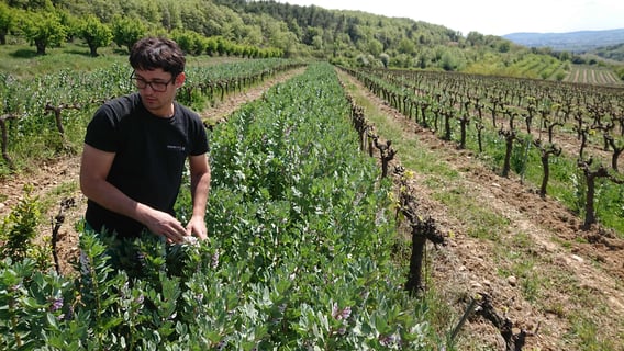 Domaine Nigoulin (6)