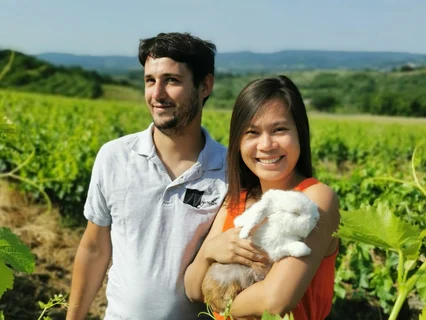 Domaine Nigoulin