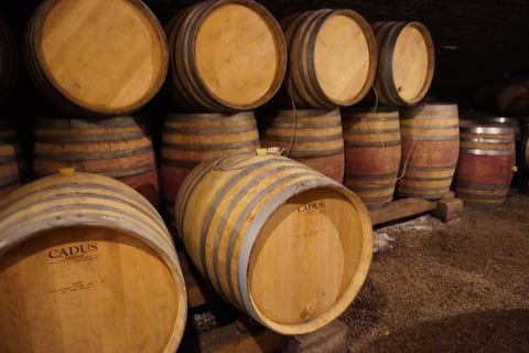 Domaine Pansiot_5