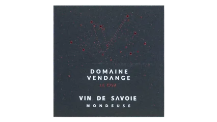Domaine Vendange Mondeuse Le Coz-1