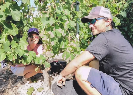 Domaine de Mathalis