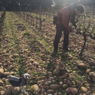 Domaine de Mathalis_3