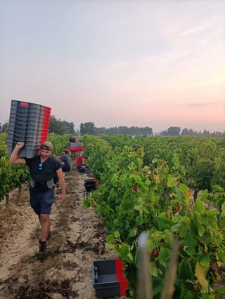 Domaine de Mathalis_5