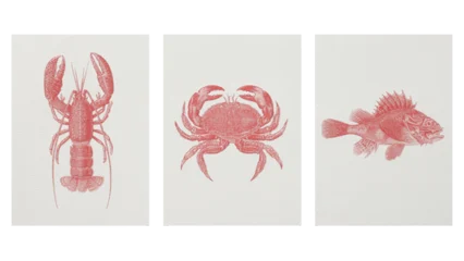 Domaine de lOlivette Mare Nostrum Rosé