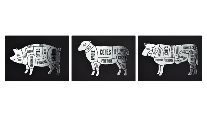 Domaine de lOlivette Terroirs Rouge