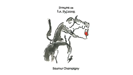 Domaine de la Paleine Saumur Champigny