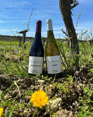 Domaine de la Paleine_12