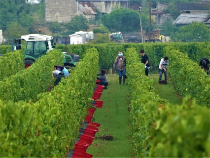 Domaine de la Paleine_3