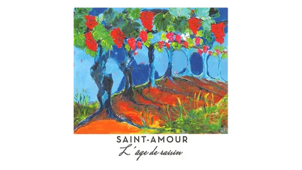 Domaine de la Pirolette Saint-Amour Lâge de raisin
