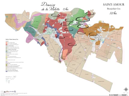 Domaine de la Pirolette_12