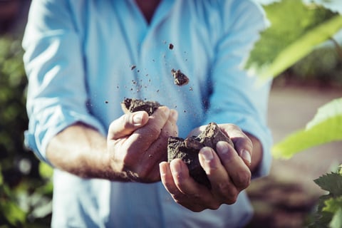 Domaine de la Pirolette_6