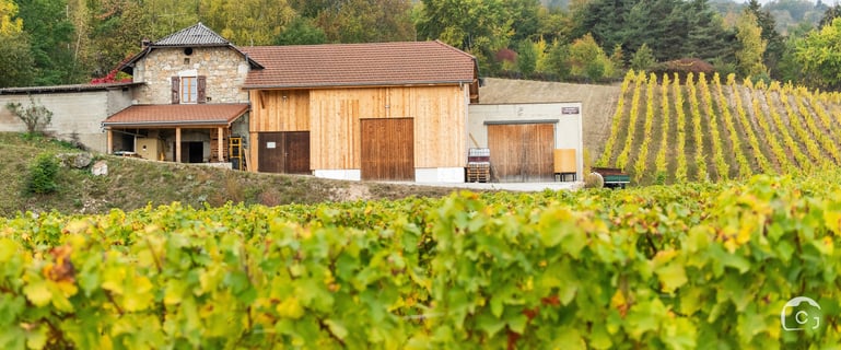 Domaine des 13 Lunes (2)