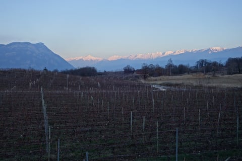 Domaine des 13 Lunes (3)