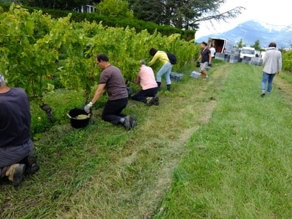 Domaine des 13 Lunes (4)