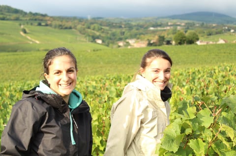 Domaine des 3 Dames_10