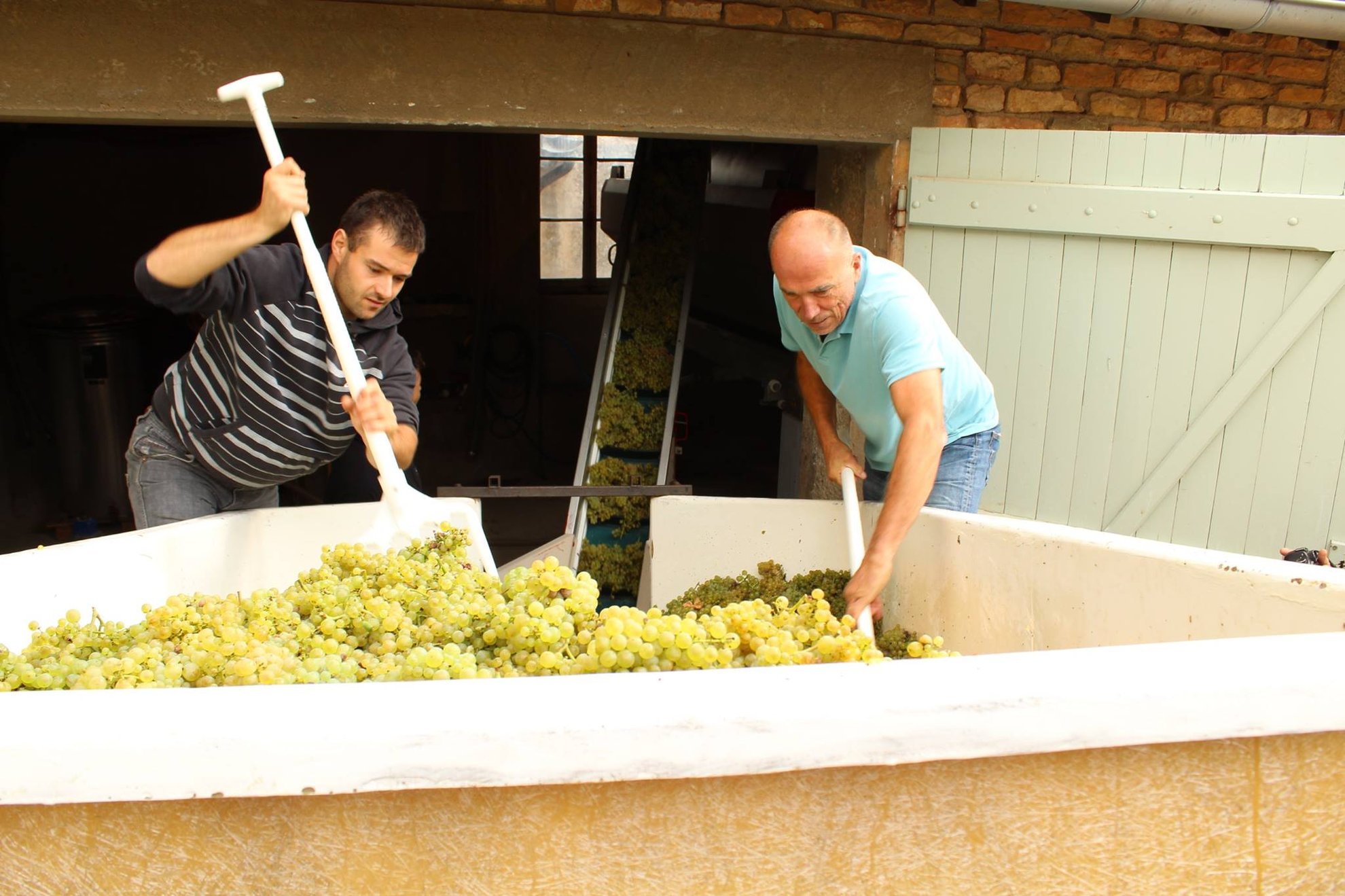 Domaine des 3 Dames_11