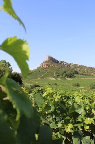 Domaine des 3 Dames_14