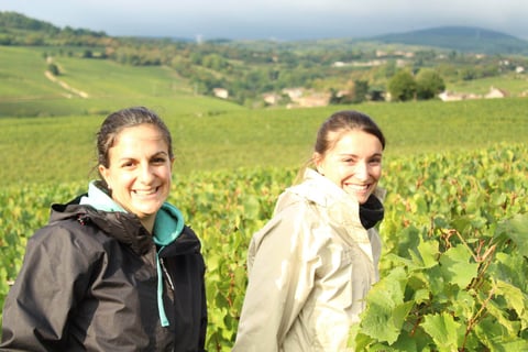 Domaine des 3 Dames_17