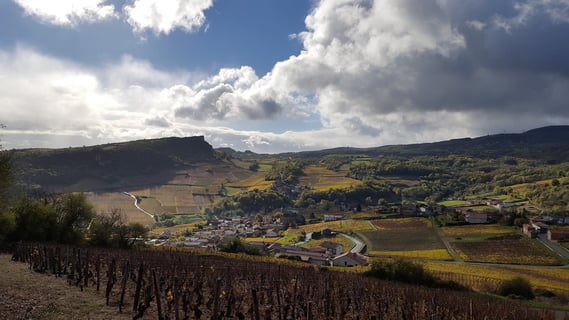 Domaine des 3 Dames_4