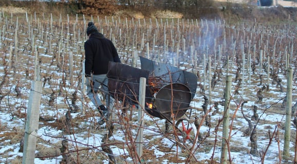 Domaine des 3 Dames_6