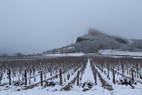 Domaine des 3 Dames_7