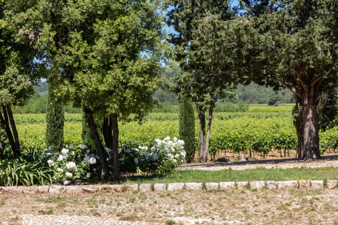 Domaine des Annibals_4