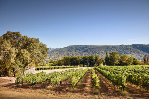 Domaine des Annibals_6