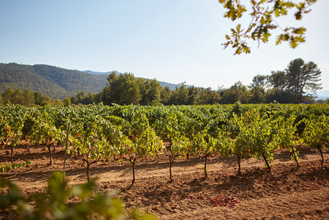 Domaine des Annibals_8