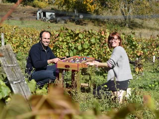 Domaine des Cœuriots