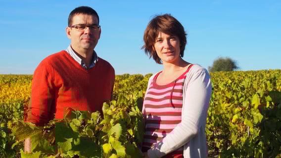 Domaine des Pérégrins_Eléonore Moreau_1