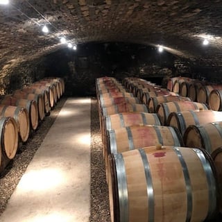 Domaine des Pérégrins_Eléonore Moreau_8